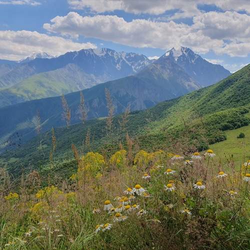 Photo #9585272