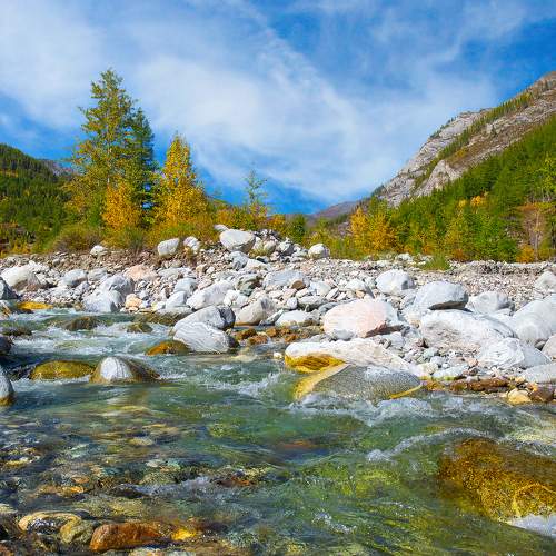 Photo #9585449