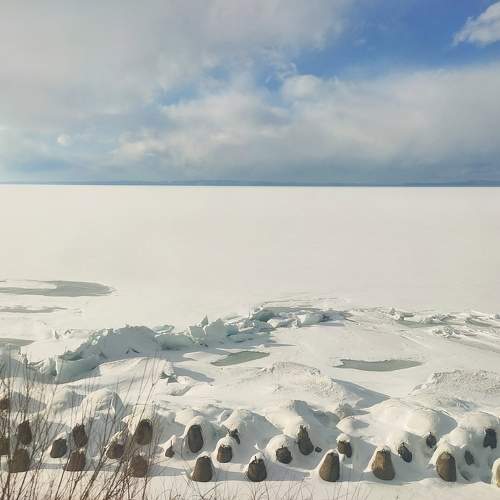 Photo #9585535