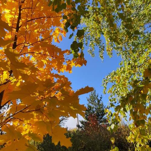 Photo #9585624