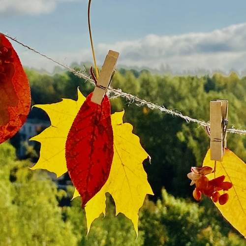 Photo #9585640