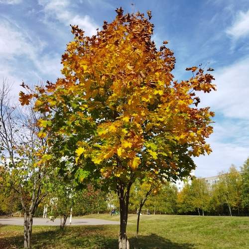 Photo #9585666