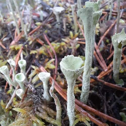 Photo #9586028