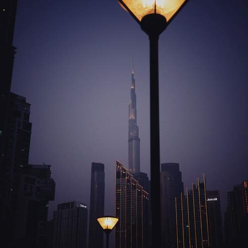 Photo #9586244