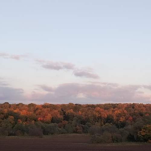 Photo #9586337