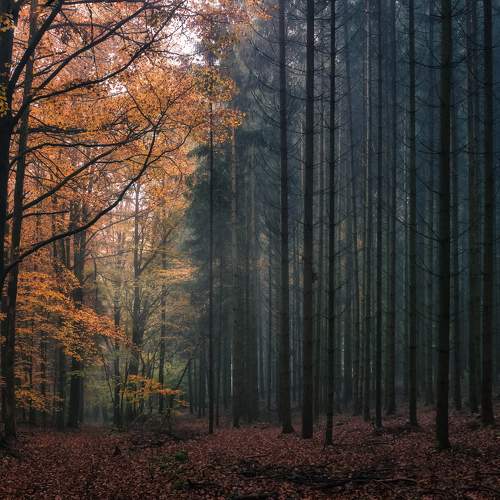 Photo #9586412