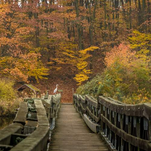 Photo #9586413