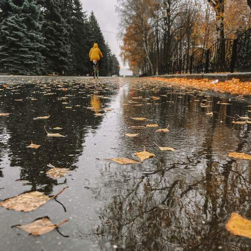Photo #9586577