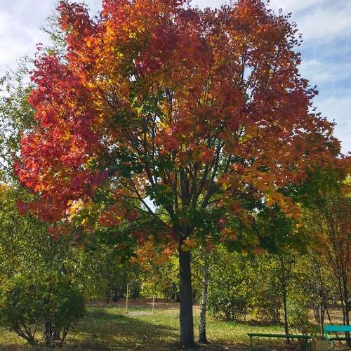 Photo #9586595
