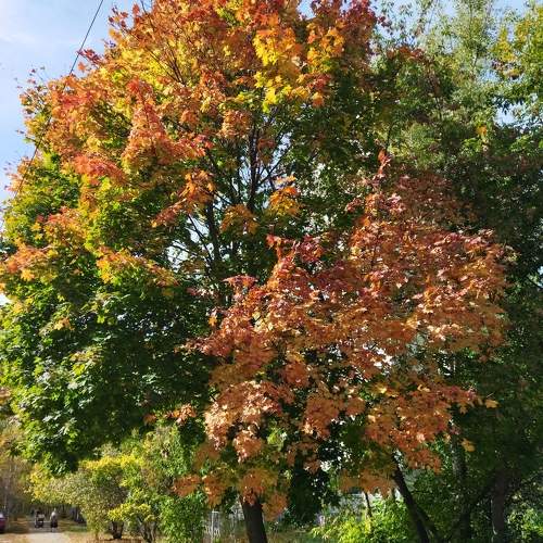 Photo #9586597