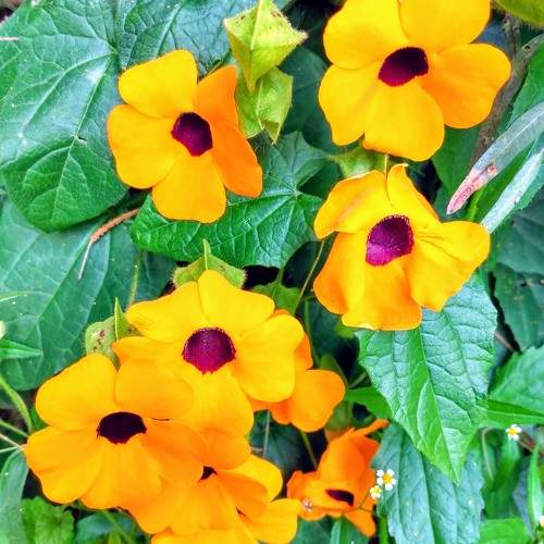 Photo #9587512