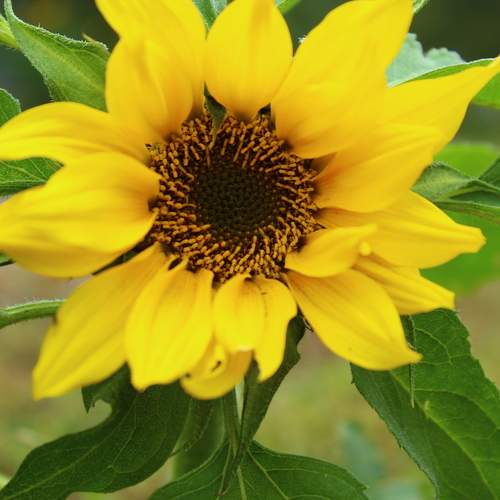 Photo #9587684