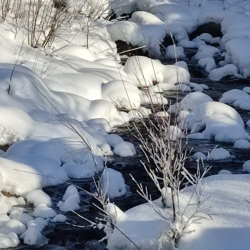 Photo #9587770