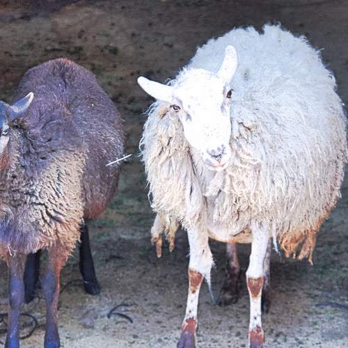 Photo #9587778