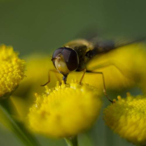Photo #9587856