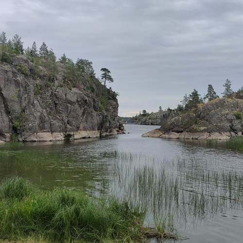 Photo #9588584