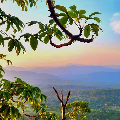 Photo #9588845