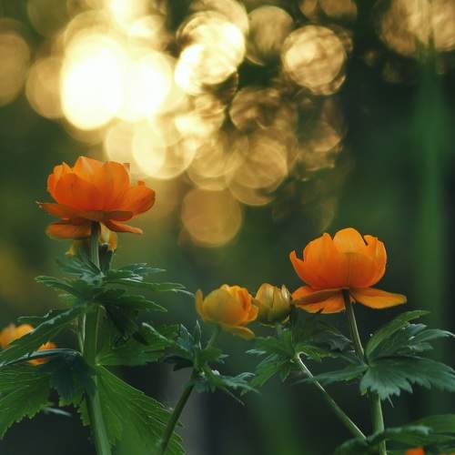 Photo #9588880