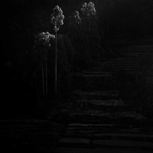 Photo #9589018