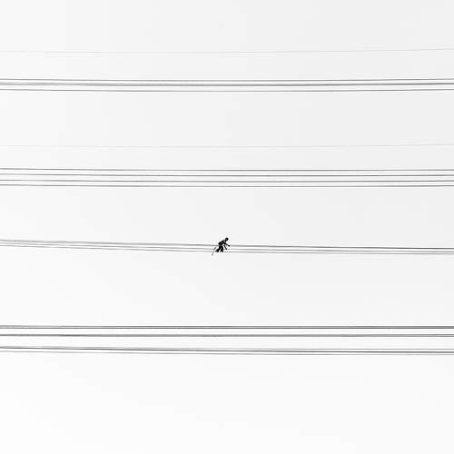 Photo #9589031