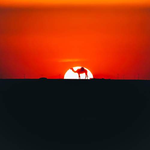 Фотография #9589154