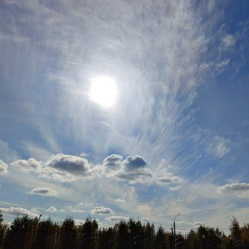 Photo #9589407