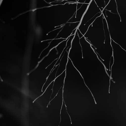 Photo #9589443