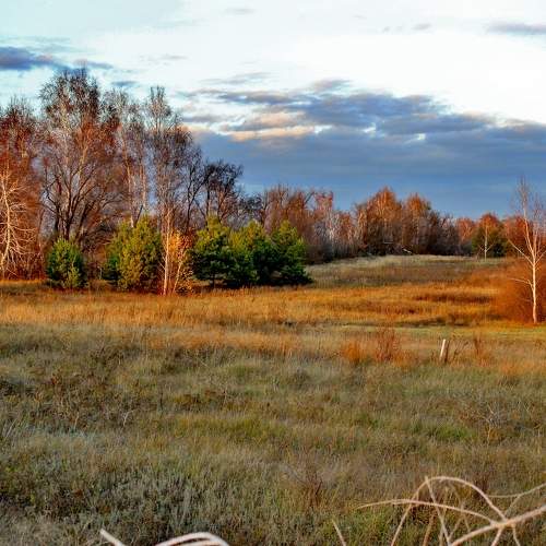Photo #9589455