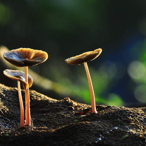 Photo #9589544