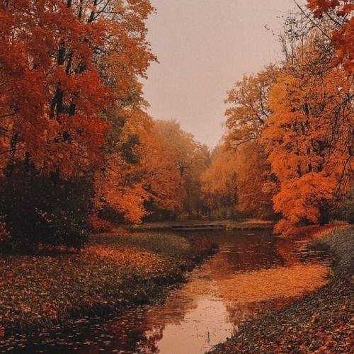 Photo #9589554