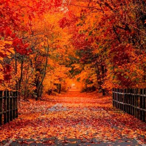 Photo #9589559