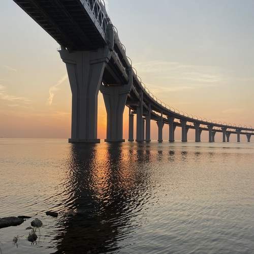 Photo #9589994