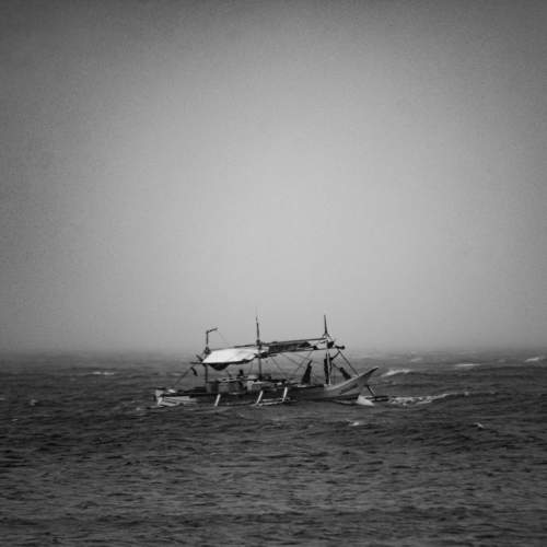 Photo #9590291