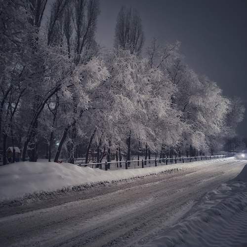 Photo #9590298
