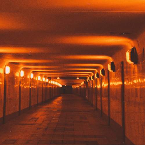 Photo #9590540