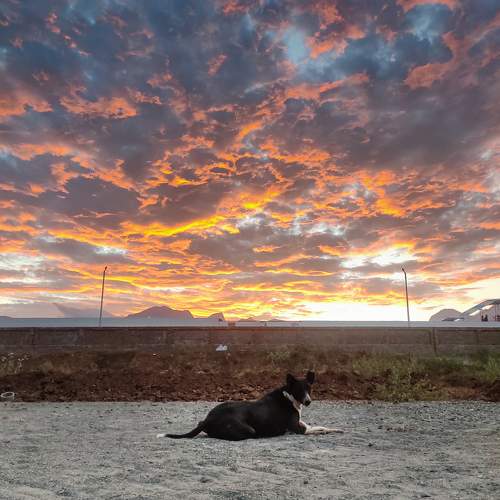 Photo #9590585