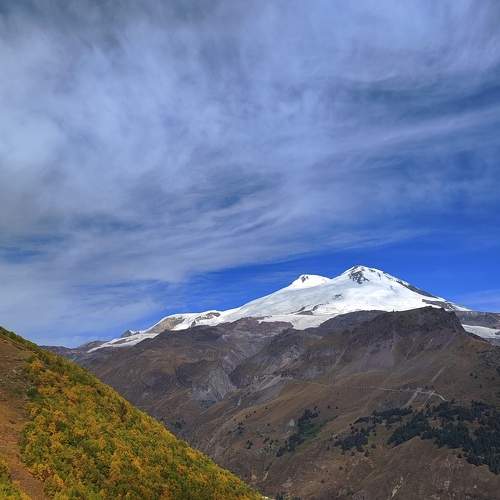 Photo #9590737