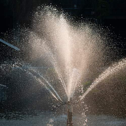 Fountain