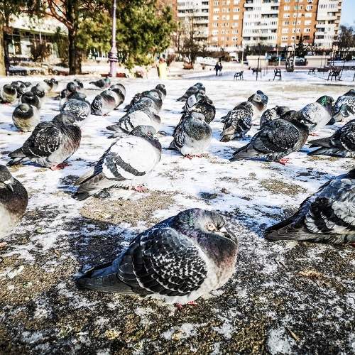 Photo #9591112