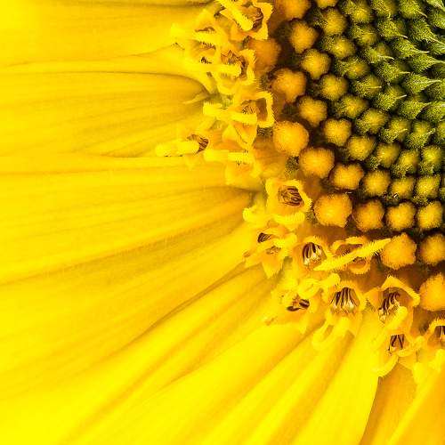 Photo #9591129