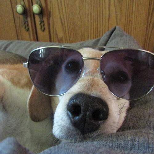 Photo #9591290