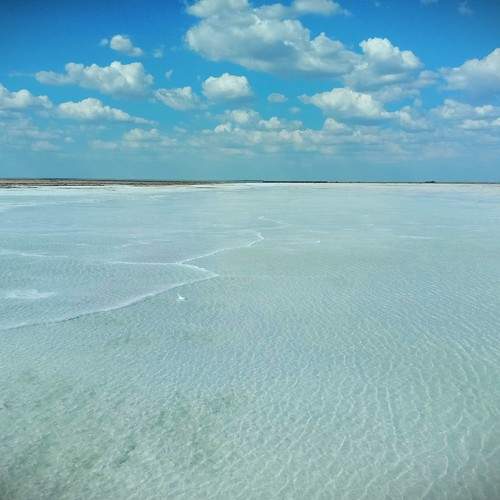 Photo #9591607