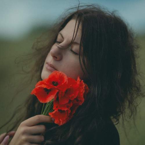 Photo #9591671