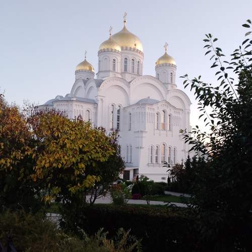 Photo #9591731