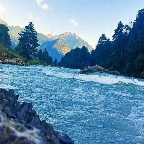 Photo #9591845