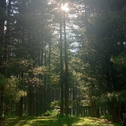 Photo #9591877