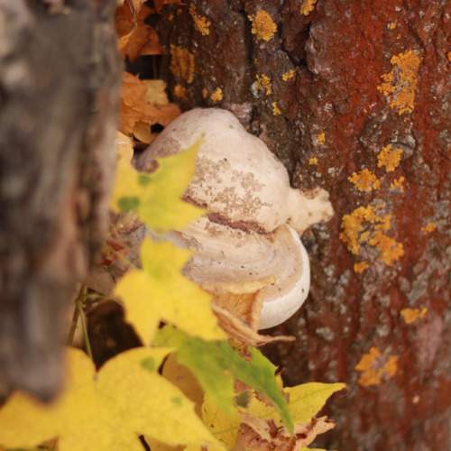 Photo #9592331