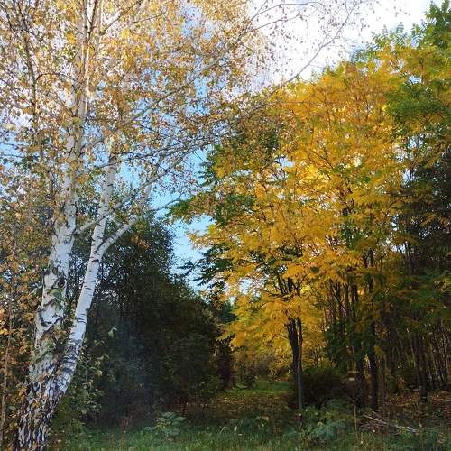 Photo #9592535