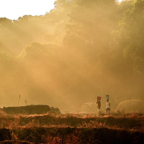 Photo #9592640