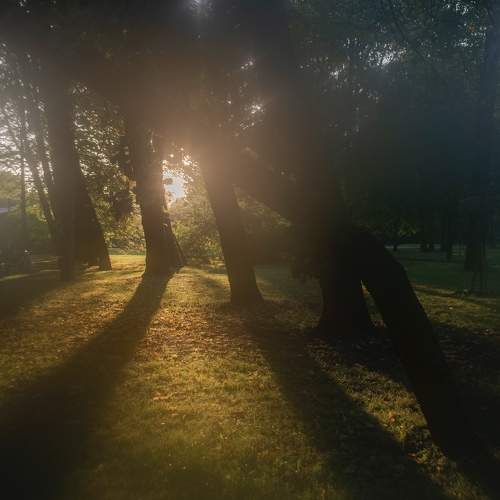 Photo #9593152